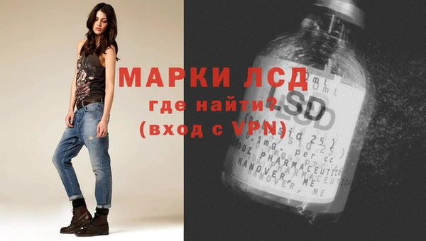 индика Корсаков