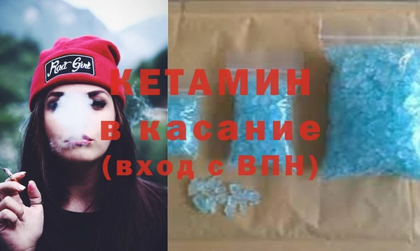 индика Кулебаки