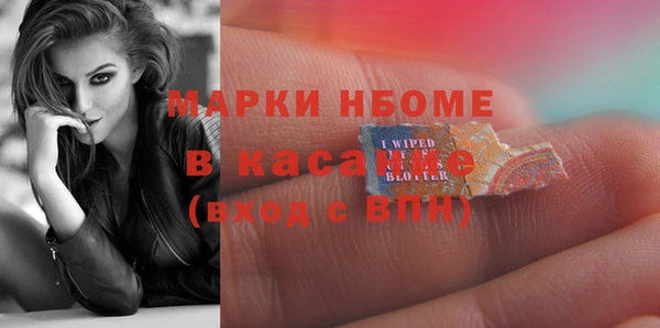индика Корсаков