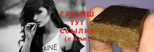 индика Кулебаки