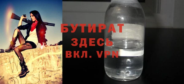 индика Кулебаки
