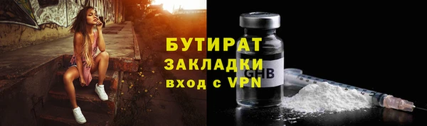 индика Корсаков