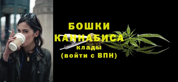 индика Кулебаки