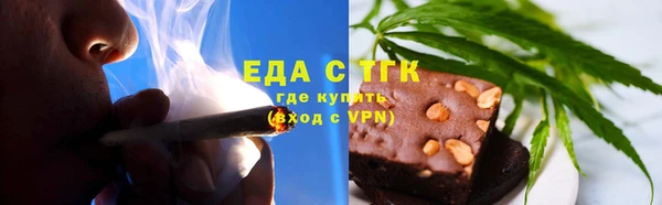 индика Кулебаки
