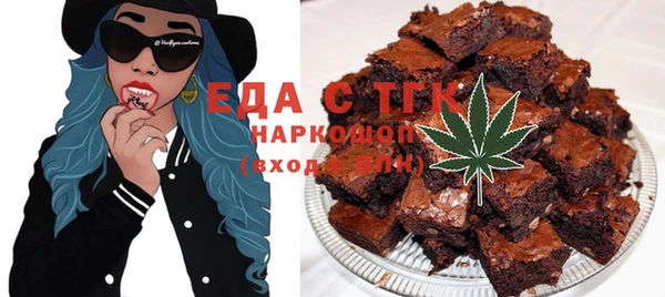 индика Кулебаки