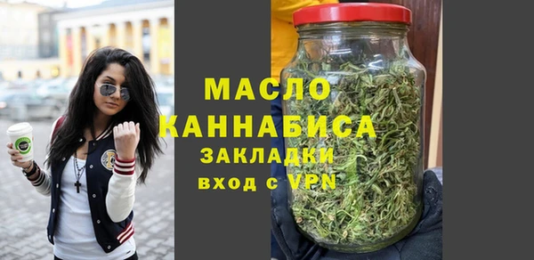 индика Кулебаки