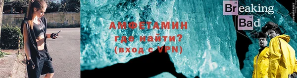 индика Кулебаки