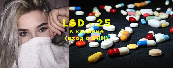индика Корсаков