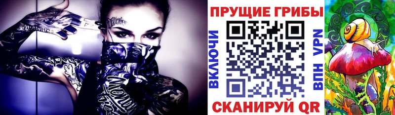 MEGA онион  Мелеуз  Псилоцибиновые грибы GOLDEN TEACHER 